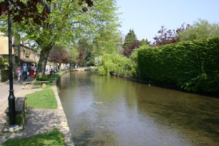 IMG_0553.JPG