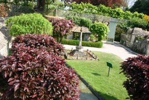 IMG_0572_2.JPG
