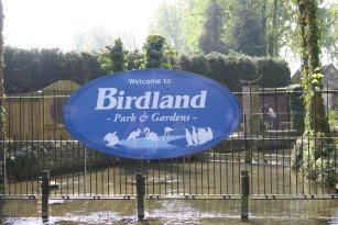 IMG_0592.JPG